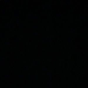 Meet your Posher, Peyton